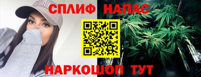 a pvp Будённовск