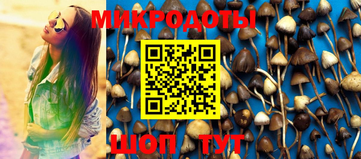 Псилоцибиновые грибы MAGIC MUSHROOMS  Вход с VPN  Кудрово 