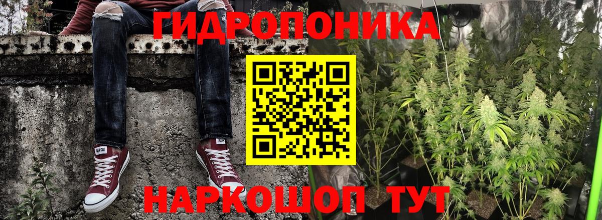 Кудрово  Бошки марихуана индика  Марихуана тримм  Бошки марихуана тримм  Вход с VPN 